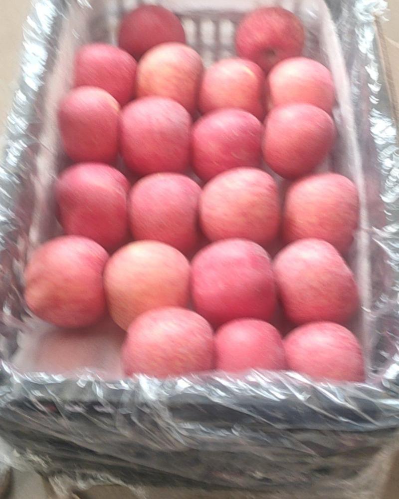 洛川富士苹果，一手货源，糖度17个，红富士苹果，