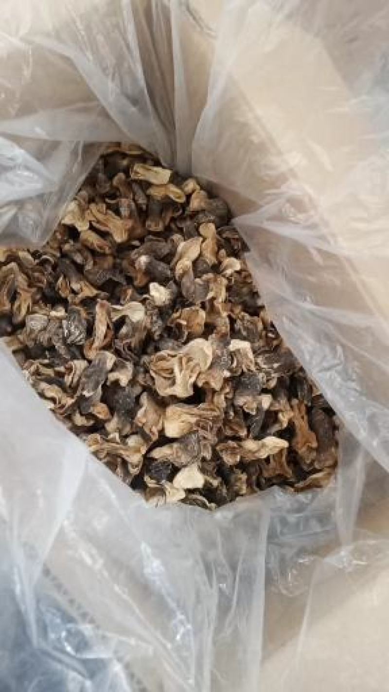 自种的干草菇，味道鲜美