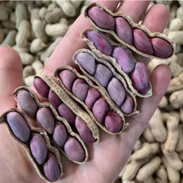 竹蔗水煮花生淡淡的竹蔗清甜味，好吃不上火