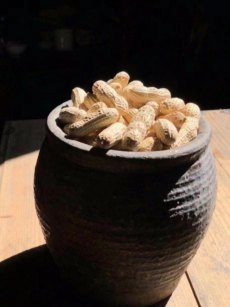 竹蔗水煮花生淡淡的竹蔗清甜味，好吃不上火