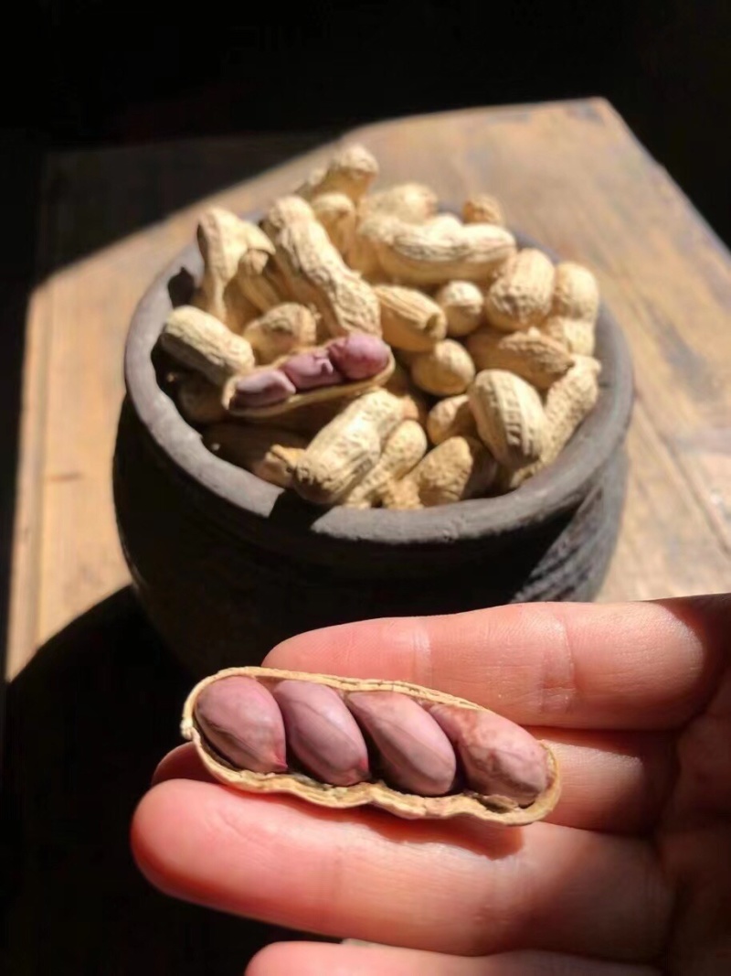 竹蔗水煮花生淡淡的竹蔗清甜味，好吃不上火