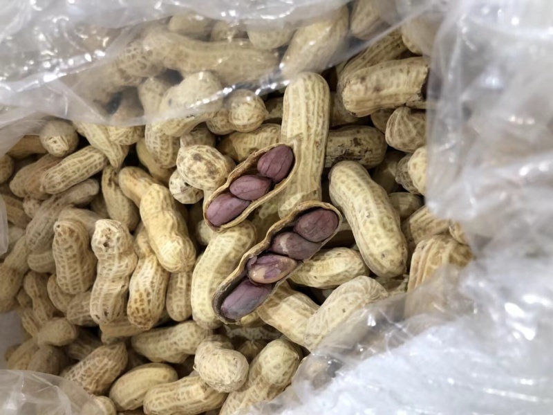 竹蔗水煮花生淡淡的竹蔗清甜味，好吃不上火