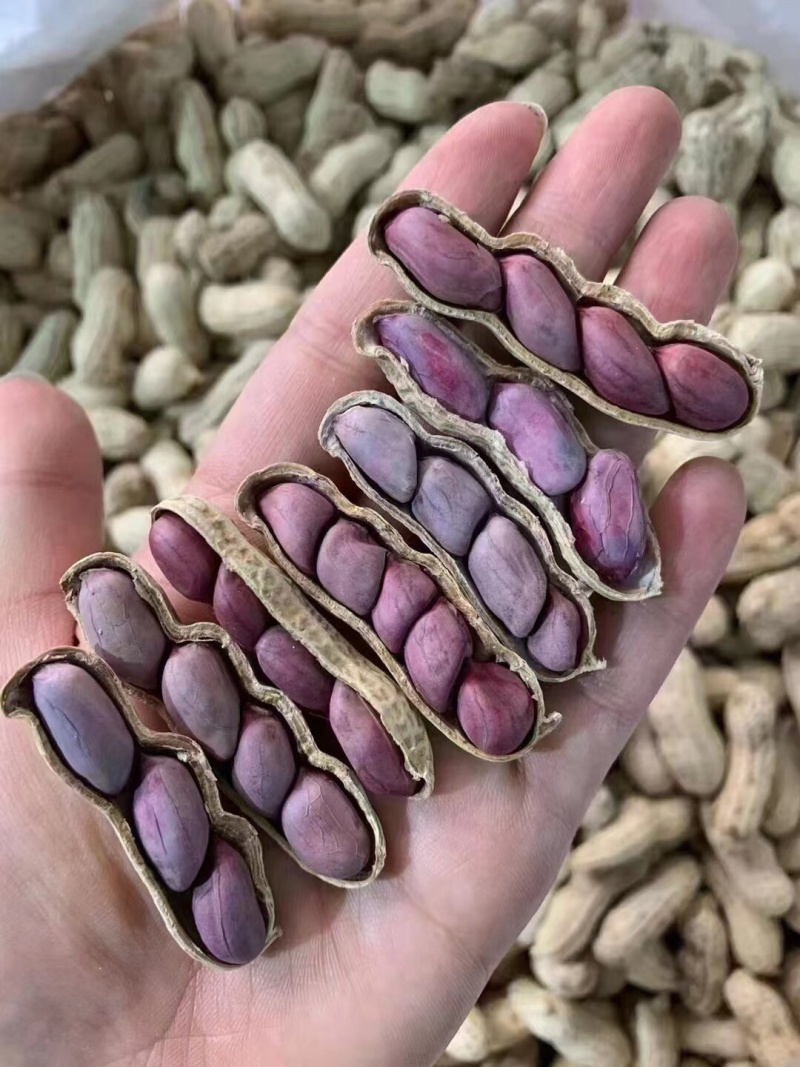 竹蔗水煮花生淡淡的竹蔗清甜味，好吃不上火