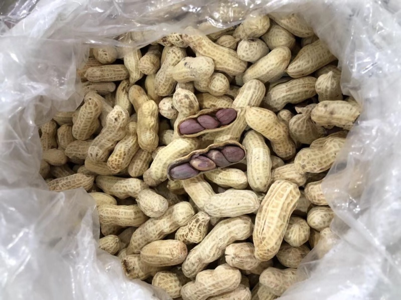 竹蔗水煮花生淡淡的竹蔗清甜味，好吃不上火