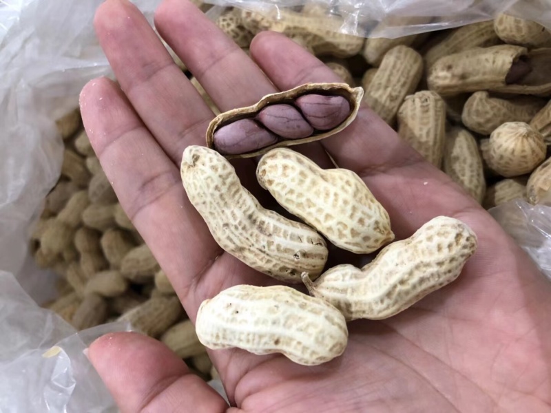 竹蔗水煮花生淡淡的竹蔗清甜味，好吃不上火