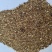 金代玉国家专利产品、微量元素预混料催肥促长