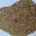 金代玉国家专利产品、微量元素预混料催肥促长