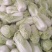 娃娃菜、半毛菜、净菜大娃娃菜，小娃娃菜大量上市，一手货源