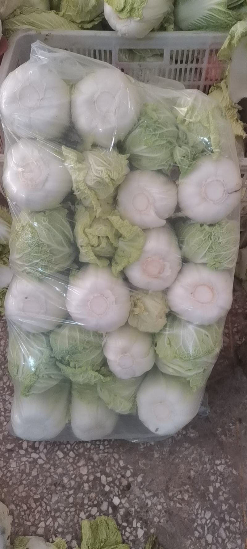 娃娃菜、半毛菜、净菜大娃娃菜，小娃娃菜大量上市，一手货源