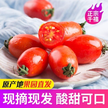 热品【千禧圣女果】广东圣女果产地直采价格美丽量大从优