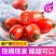 热品【千禧圣女果】广东圣女果产地直采价格美丽量大从优