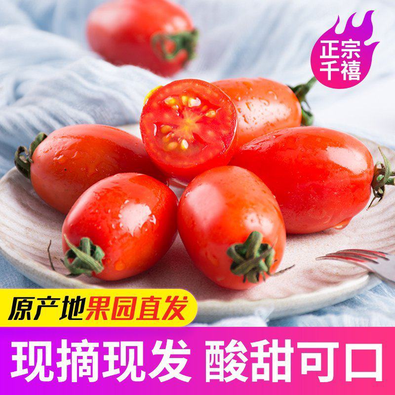 热品【千禧圣女果】广东圣女果产地直采价格美丽量大从优