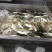 金鲳鱼原料，鱼干，厂家直销，全规格在售，货源稳定。