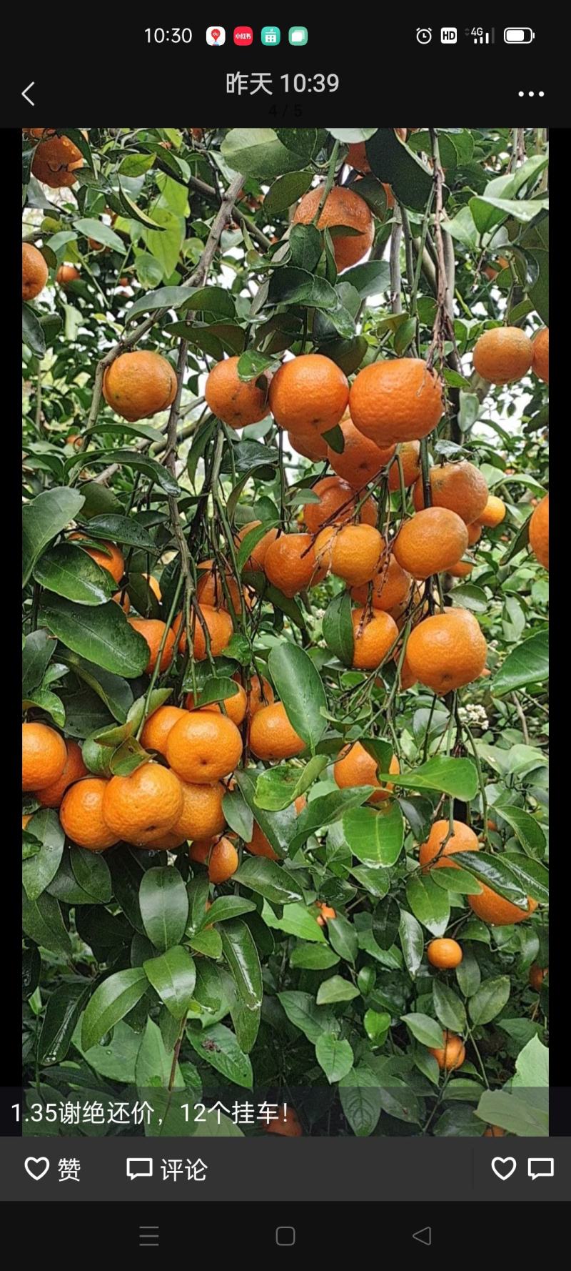 广西沙糖桔，红度好，口感好，甜度好，大量电商直供精品。诚