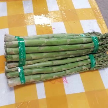 头子好新鲜大小中笋全都有需要的联系