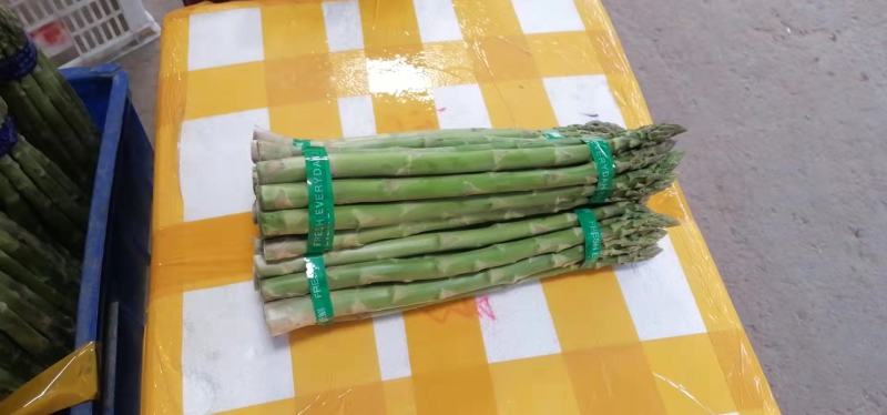 头子好新鲜大小中笋全都有需要的联系