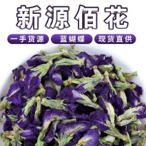 大货蓝蝴蝶花蓝蝴蝶蝶豆花花干花茶大货批发新货上市