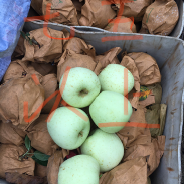 库存八箱金帅苹果，五千左右斤