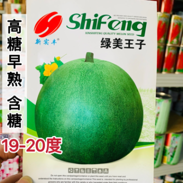 绿美王子甜瓜种子高糖特甜早熟绿皮绿肉含糖19-20度