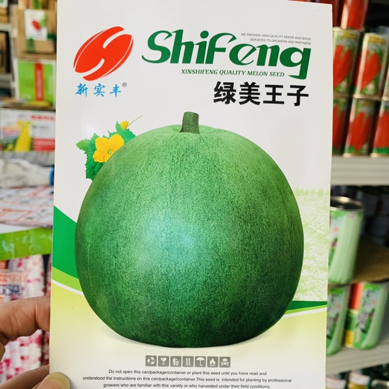 绿美王子甜瓜种子高糖特甜早熟绿皮绿肉含糖19-20度
