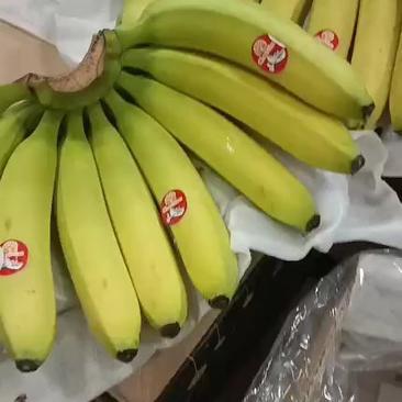 进口菲律宾香蕉，价格低，质量保证，无黑心，坏果包赔