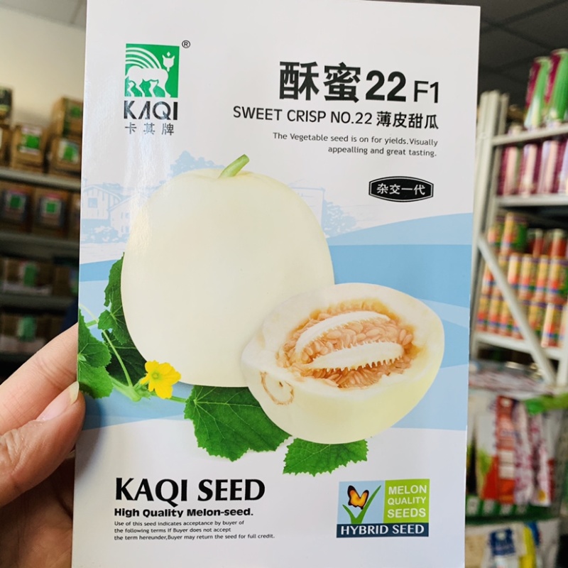 酥蜜22号甜瓜种子种子肉厚腔小糖度高达18度薄皮甜瓜