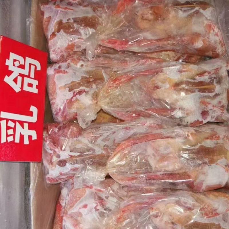 鸽子5-8两，价格合适，厂家直发，资质齐全，安全可靠