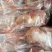 鸽子5-8两，价格合适，厂家直发，资质齐全，安全可靠