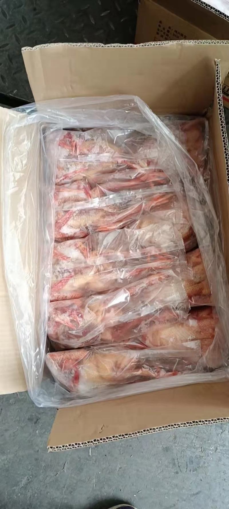 鸽子5-8两，价格合适，厂家直发，资质齐全，安全可靠