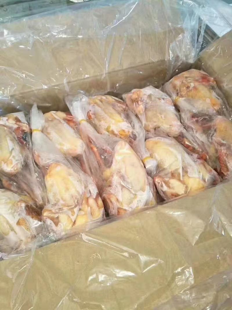 鸽子5-8两，价格合适，厂家直发，资质齐全，安全可靠