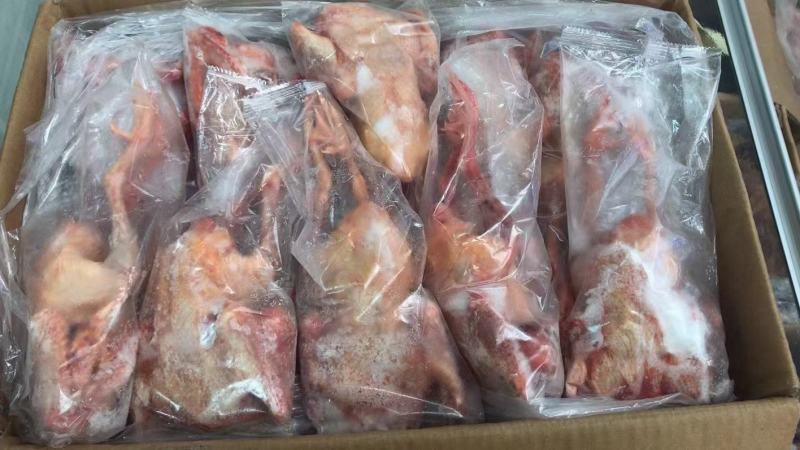鸽子5-8两，价格合适，厂家直发，资质齐全，安全可靠