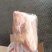 鸽子5-8两，价格合适，厂家直发，资质齐全，安全可靠