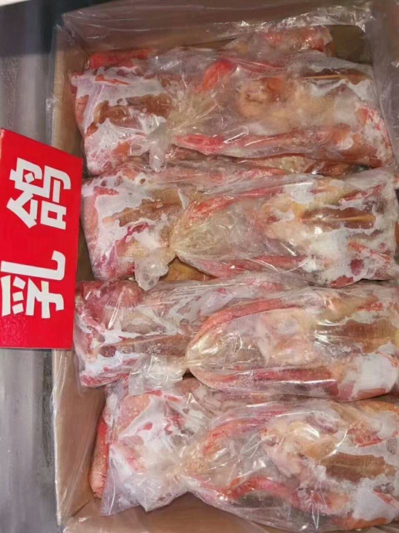 鸽子5-8两，价格合适，厂家直发，资质齐全，安全可靠