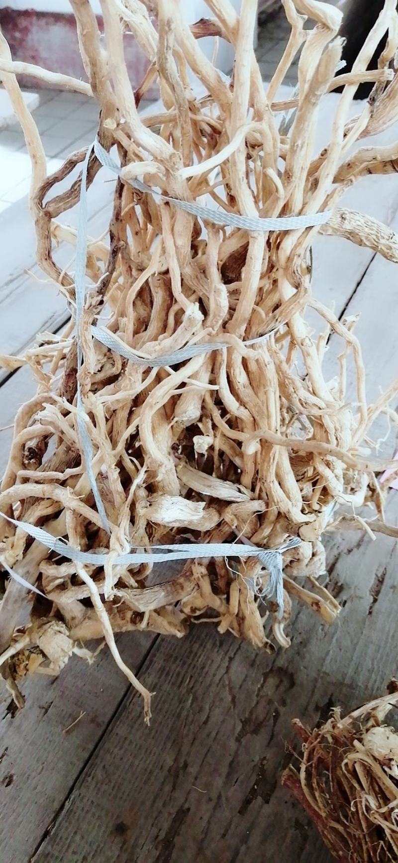 【精选速购】黄花倒水莲质量保证