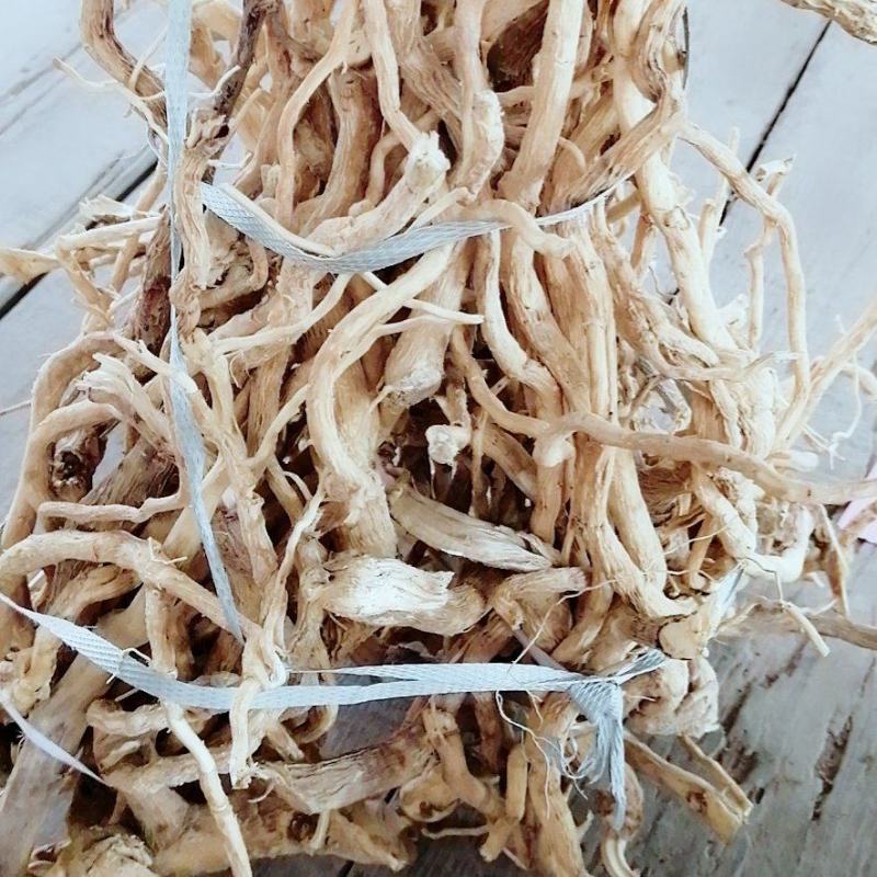 【精选速购】黄花倒水莲质量保证