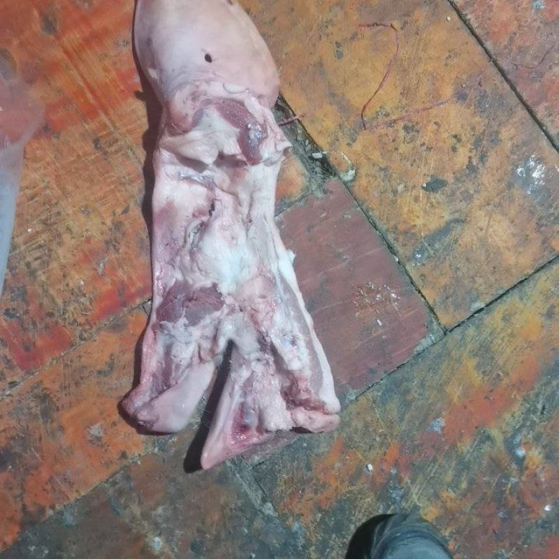 【牛商推荐】猪头皮，对接批发商，产地发货，优惠价格
