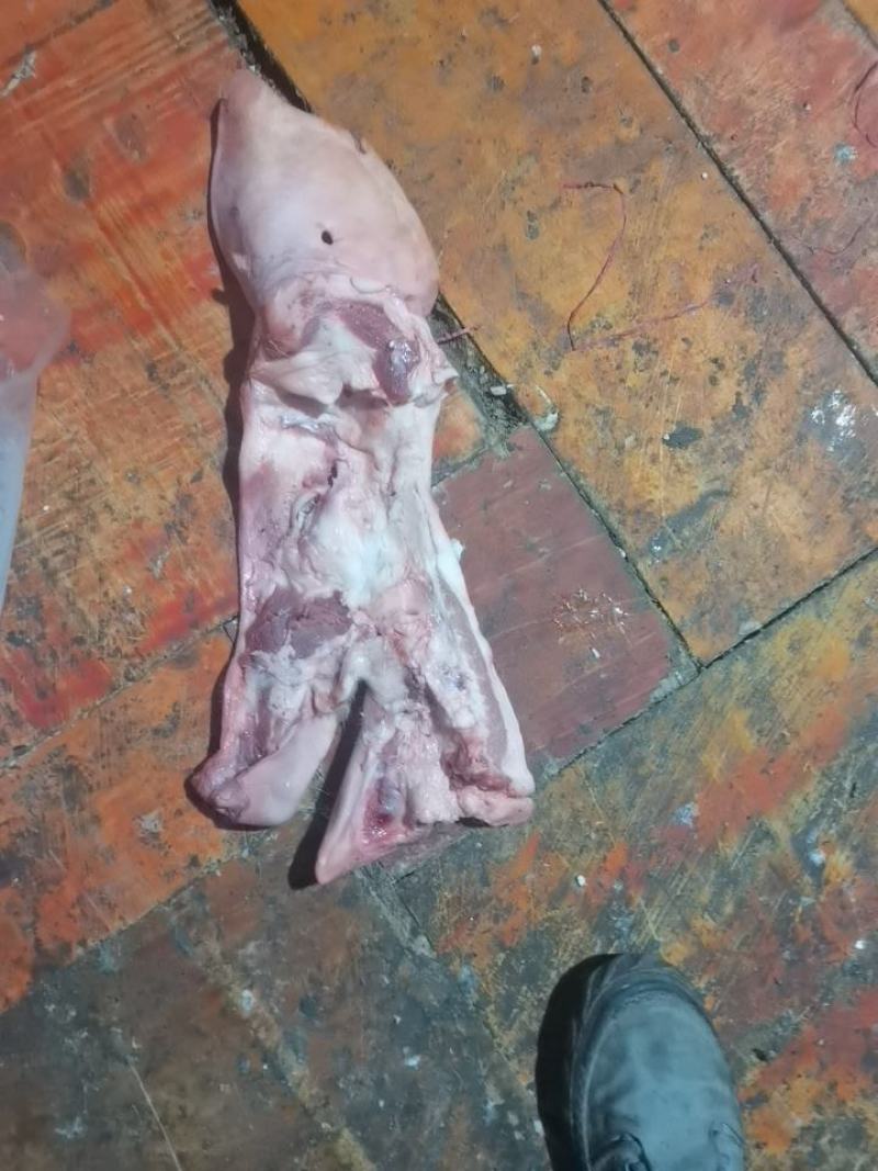 【牛商推荐】猪头皮，对接批发商，产地发货，优惠价格