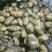 【精品土豆】荷兰806土豆内蒙古土豆产地直供