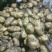 【精品土豆】荷兰806土豆内蒙古土豆产地直供