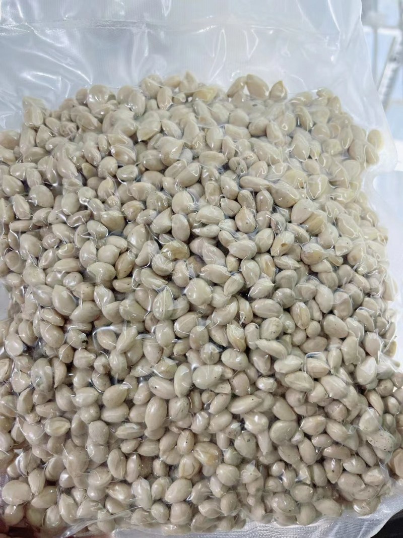 新采枸橘种子枳壳种子枸桔种子篱笆专用嫁接砧木树暂不发货
