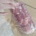 冷冻鸭肉卷，货源充足，全国发货，需要的老板们联