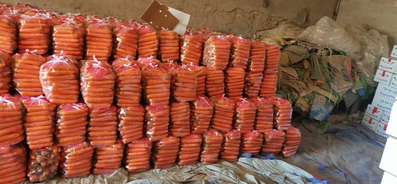 开封胡萝卜皮光色正水洗加工各种规格量大价优通许县基地直销