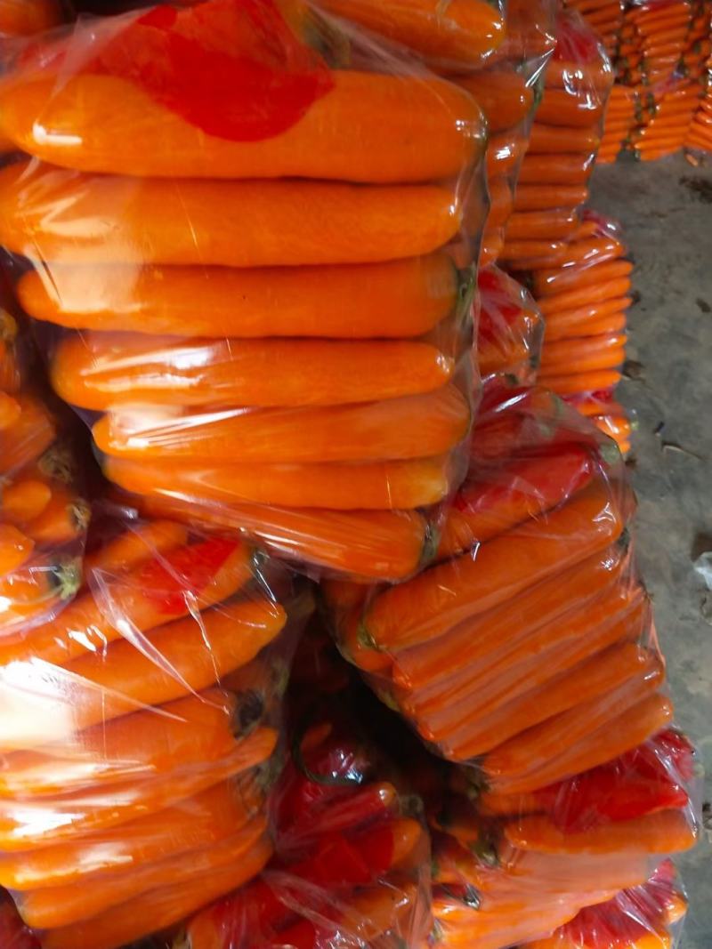 开封胡萝卜皮光色正水洗加工各种规格量大价优通许县基地直销