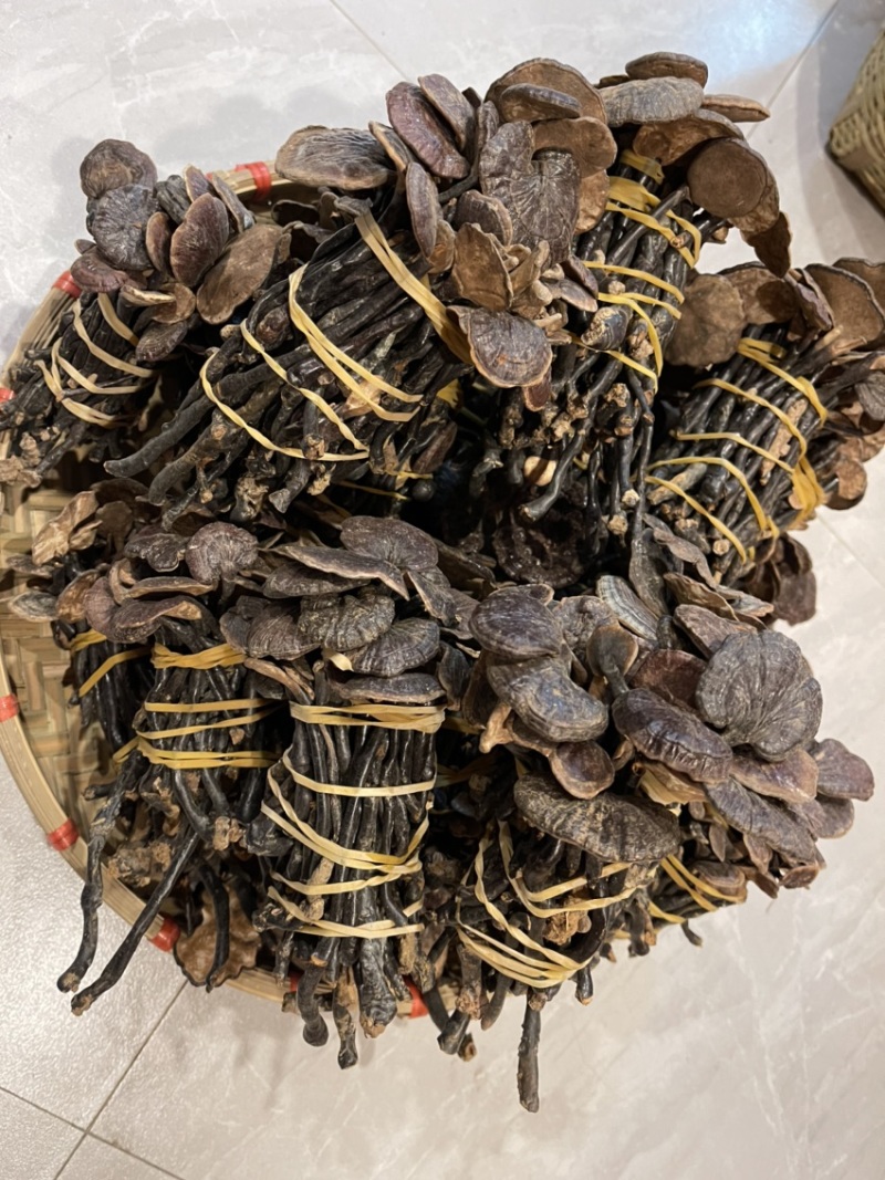 野生小灵芝，高脚，味道香，竹灵芝，黑灵芝，小野灵芝