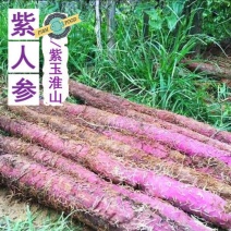 山药紫色山药现挖现卖紫山药新鲜紫山药花青素山药包邮