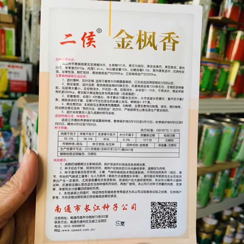 二侯金枫香甜瓜种子，金黄色甜瓜白肉香甜好吃果型美观