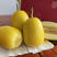 二侯金枫香甜瓜种子，金黄色甜瓜白肉香甜好吃果型美观