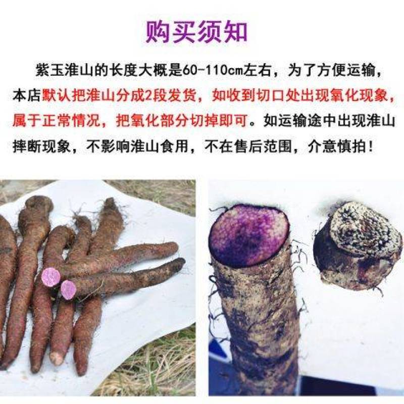 山药紫色山药现挖现卖紫山药新鲜紫山药花青素山药包邮