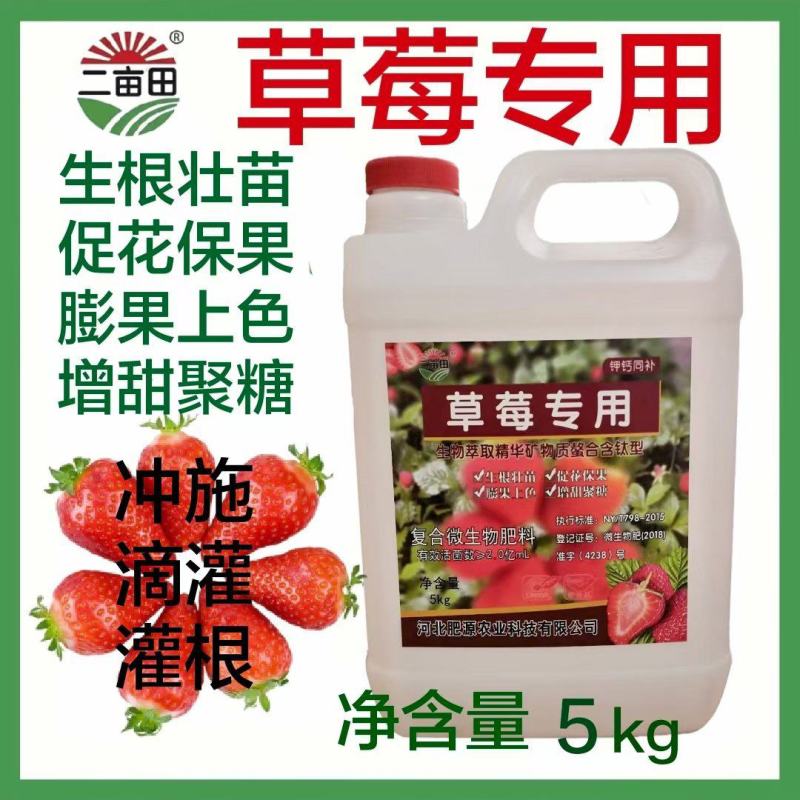 草莓专用水溶肥生根壮苗促花保果膨果上色增甜聚糖