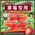 草莓专用水溶肥生根壮苗促花保果膨果上色增甜聚糖